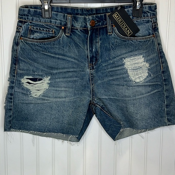 Blank NYC Kind of a Big Deal Distressed Shorts New Size 28 - Picture 1 of 13